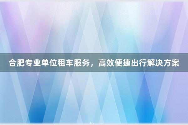 合肥专业单位租车服务，高效便捷出行解决方案